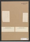 Diatomeae indet. Zeichnungen Sammlung Grunow Nr. 2595 (NHMW-BOT-W0369787)